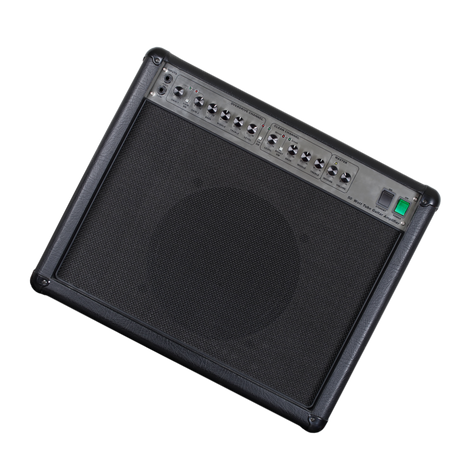 amplificador